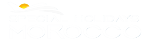 blue logo525255