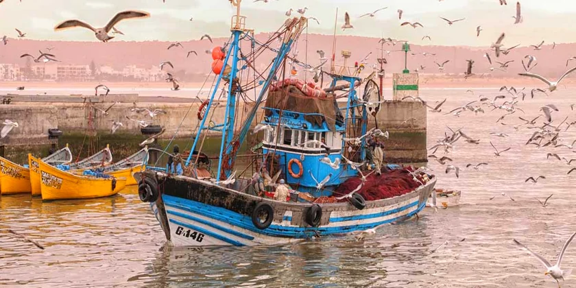 essaouira port