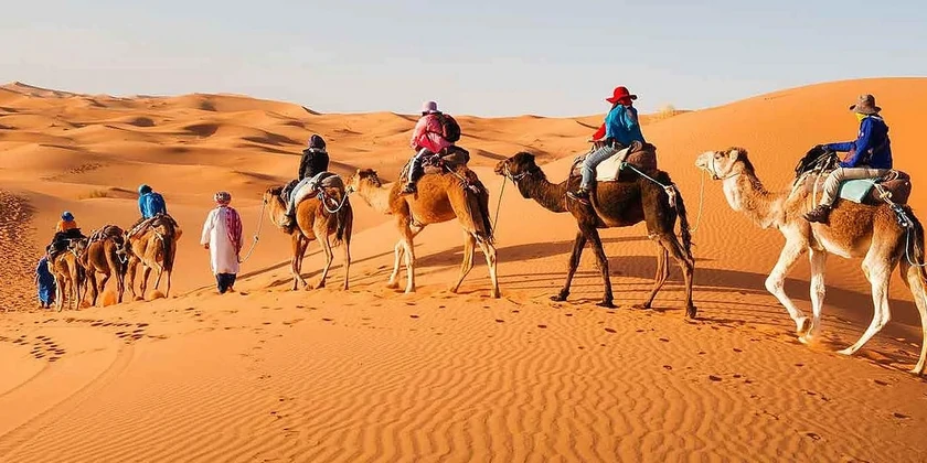 tour-morocco-camel02